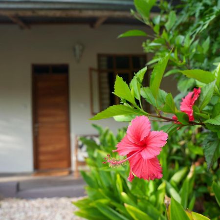 Kendwa Breeze Bungalows Bagian luar foto