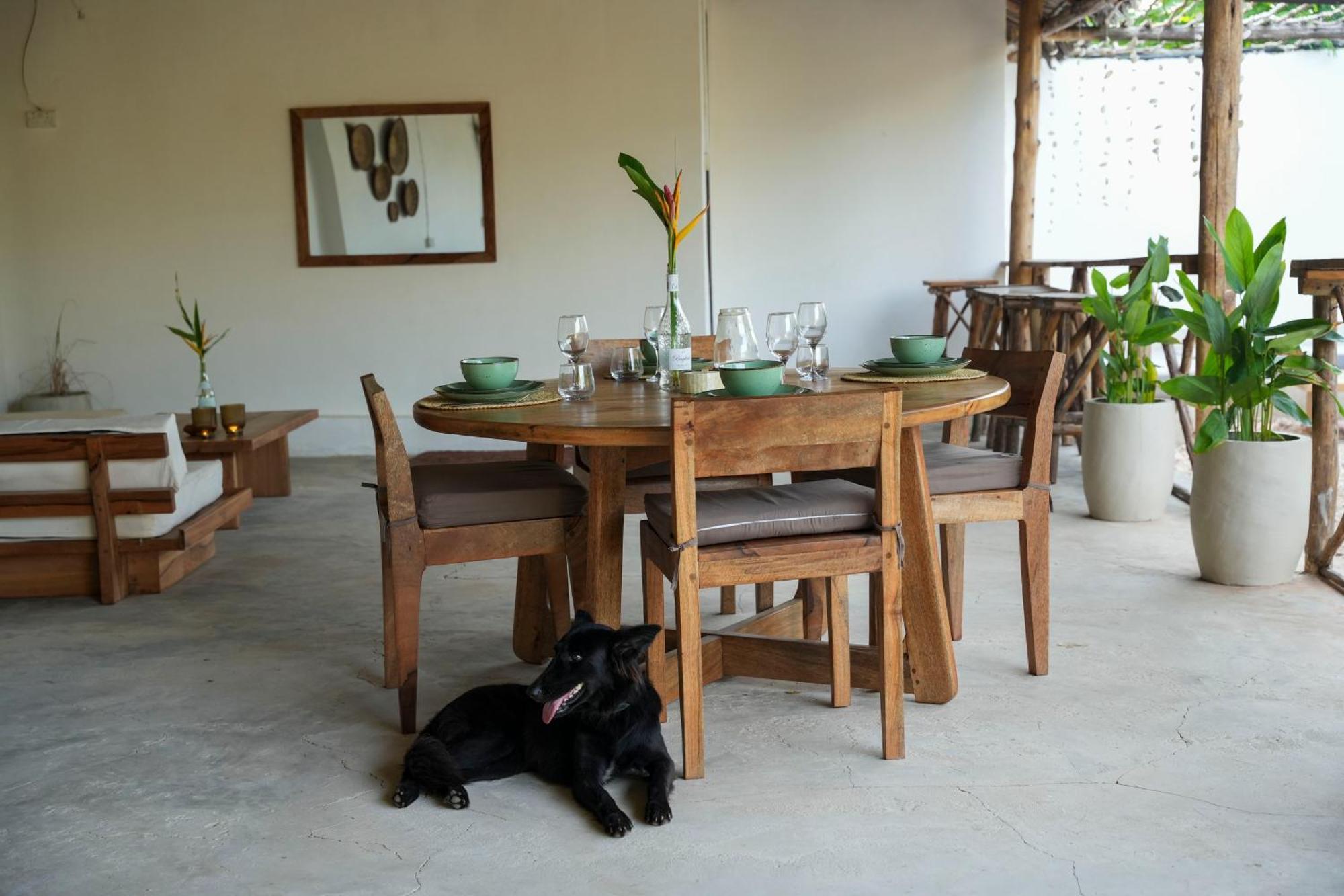 Kendwa Breeze Bungalows Bagian luar foto